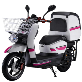 ST-01