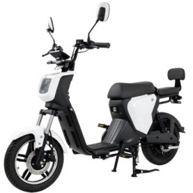 RS-01