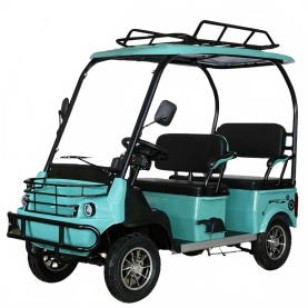 Sightseeing Scooter 04