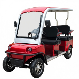 Sightseeing Scooter 2