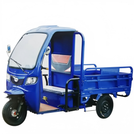 DREAM CARGO 01