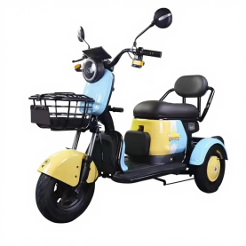 EV-S1